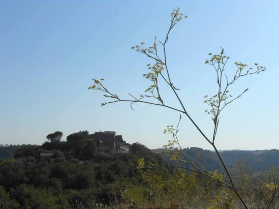 11942099_10207395399513663_5890672924297164404_o