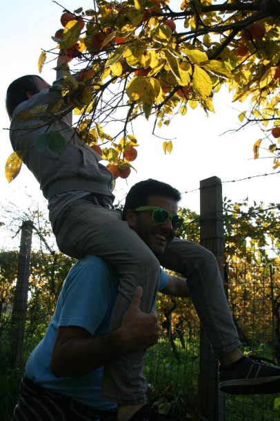 12184998_1051148564916676_6877031497709848537_o