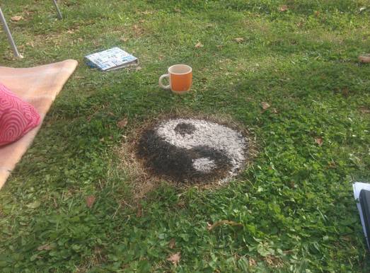 12246672_10153327223966298_204279697637450960_n