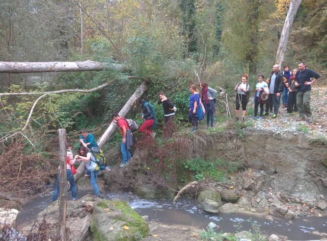 12278811_10153327223736298_2014927688981484360_n