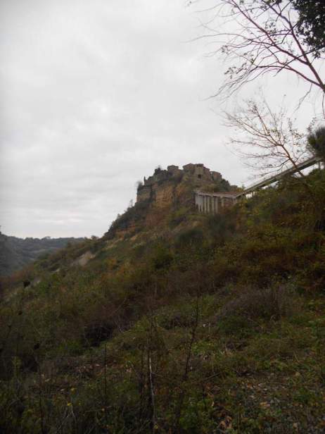 12278818_1116867048353738_8810299615416721965_n