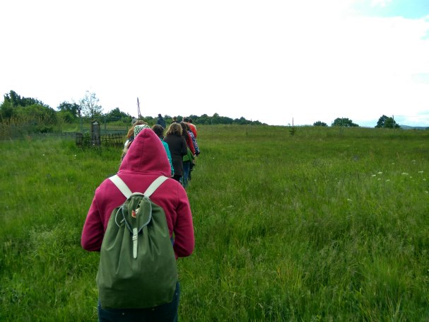 IMG_20160515_154358_HDR