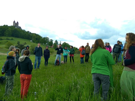 IMG_20160517_102909_HDR