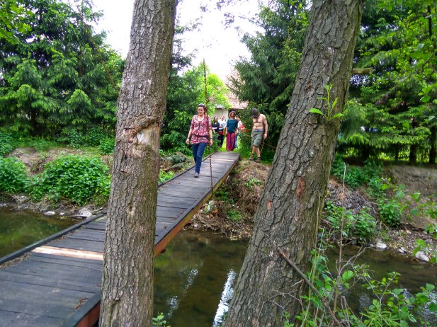 IMG_20160520_125547_HDR