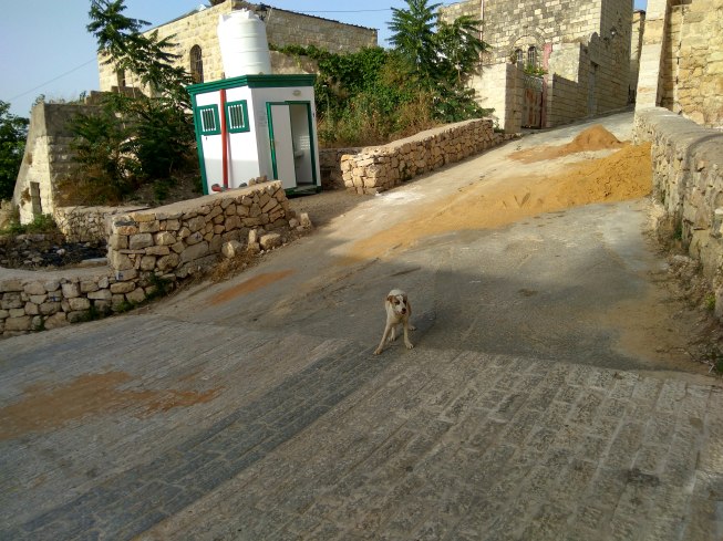 IMG_20160603_181821_HDR