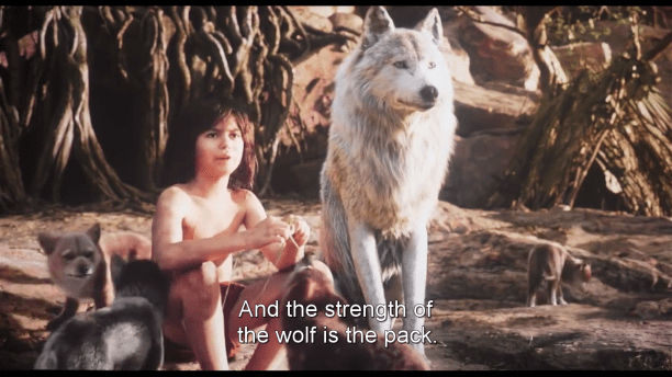 Screenshot 2016-07-31 12.32.21