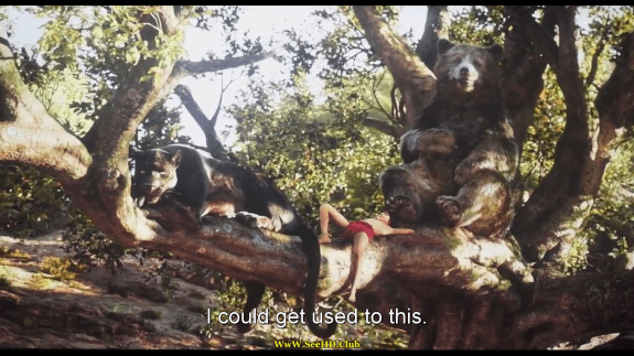 Screenshot 2016-07-31 12.39.24