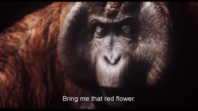 Screenshot 2016-07-31 13.08.45