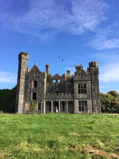 14322241_10157443378940224_8506292827682021507_n