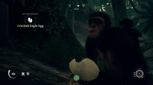 Ancestors egg eating. 